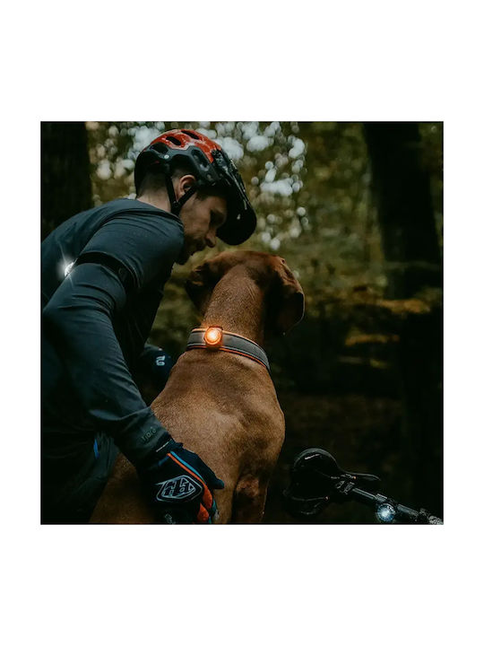 Orbiloc Dual K9 Active Pack Hundehalsbänder
