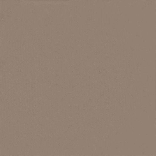 vidaXL vidaXL Shade Fabric Divider Brown with PU Coating 2x10x10m 160g/m²