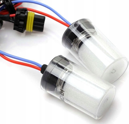 M-Tech Lamps Car & Motorcycle H7 Xenon 8000K Cold White 12V 35W 1pcs