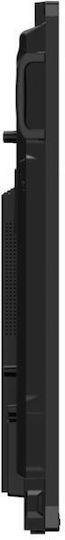 Philips Eline Διαδραστικός Πίνακας Αφής 65" Android