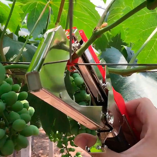 Pflanzenstützen Gartenklammern Baumschulband Tapener