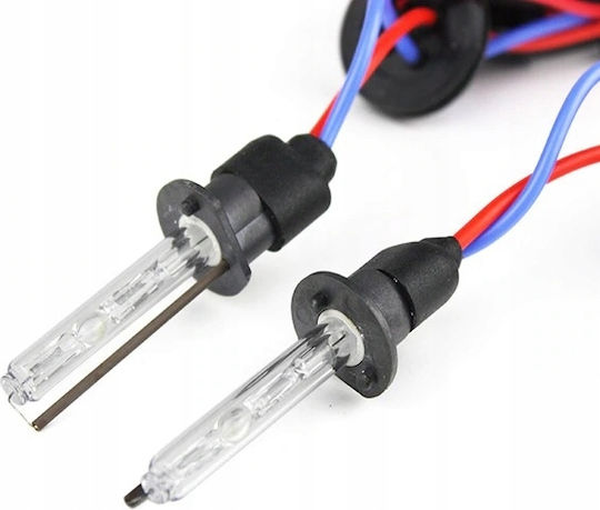 M-Tech Car and Motorcycle Lamp H1 Xenon 12000K Cold White 12V 35W