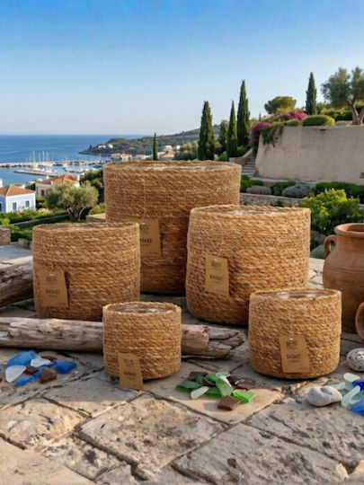 Zaros Übertopf Mehrfarbig 12x12εκ.