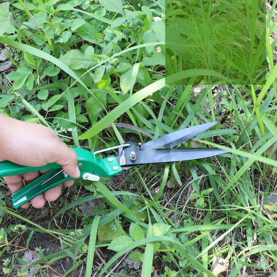 Hand Garden Tool Set