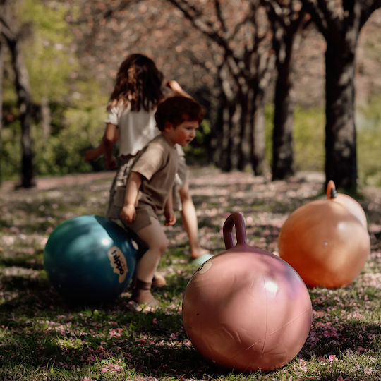Find that Hippo Hoppers Ball for 6+ Years