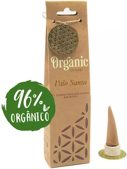 Incense Cones XL Organic Goodness Sage Ceramic Burning Base