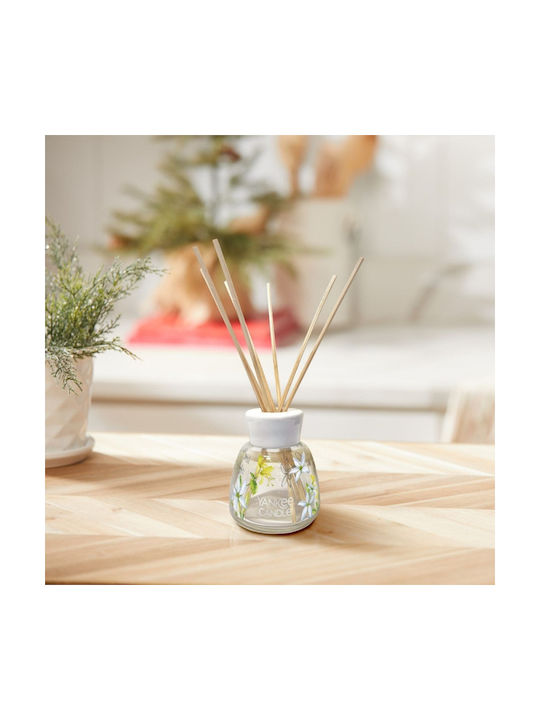 Yankee Candle Signature Midnight Jasmine 100 Ml