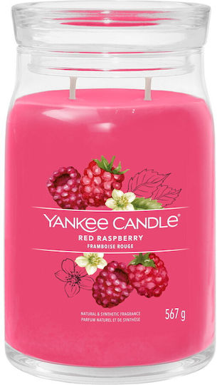 Yankee Candle Αρωματικό Wax Melt Red Raspberry 7825185 22gr