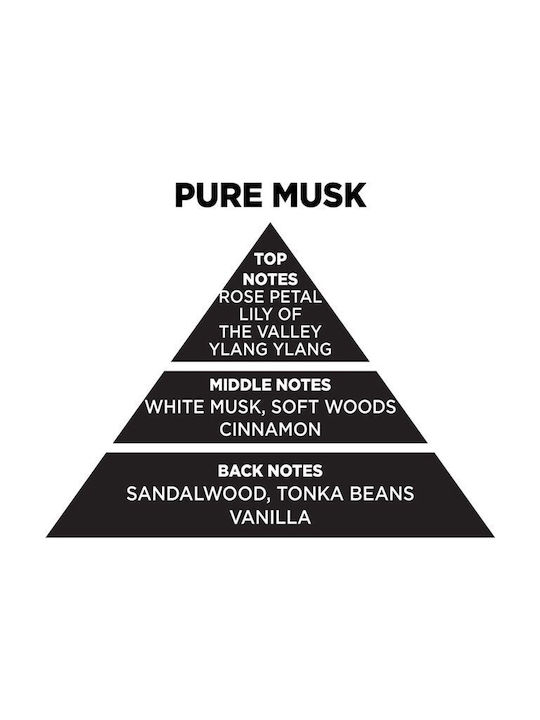 Themagio Αρωματικά Sticks με Άρωμα White Musk 100ml