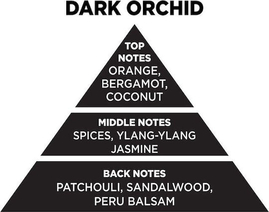 Themagio Diffuser με Άρωμα Dark Orchid 100ml