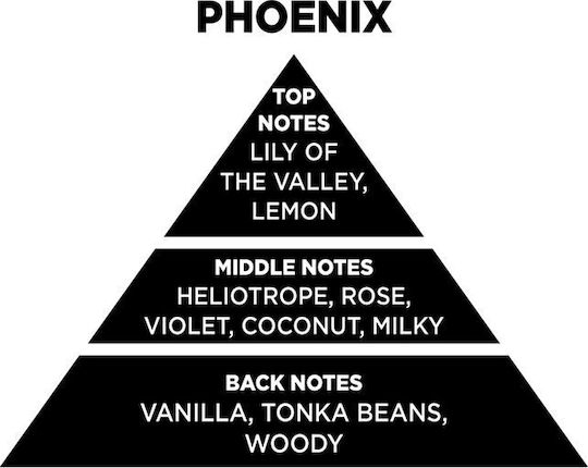 Themagio Diffuser Phoenix 100ml