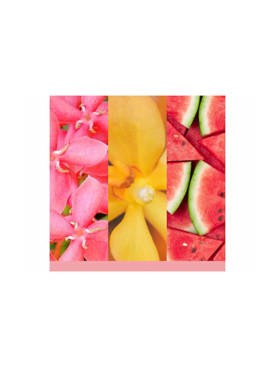 Yankee Candle Χριστουγεννιάτικο Αρωματικό Wax Melt με Άρωμα Pink Sands 1676084 22gr