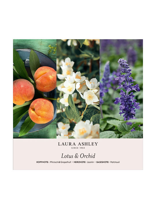 Γύψινο Αρωματικό Χώρου Αιθέριο Έλαιο Lotus & Orchid 200g Laura Ashley A2575 00055844