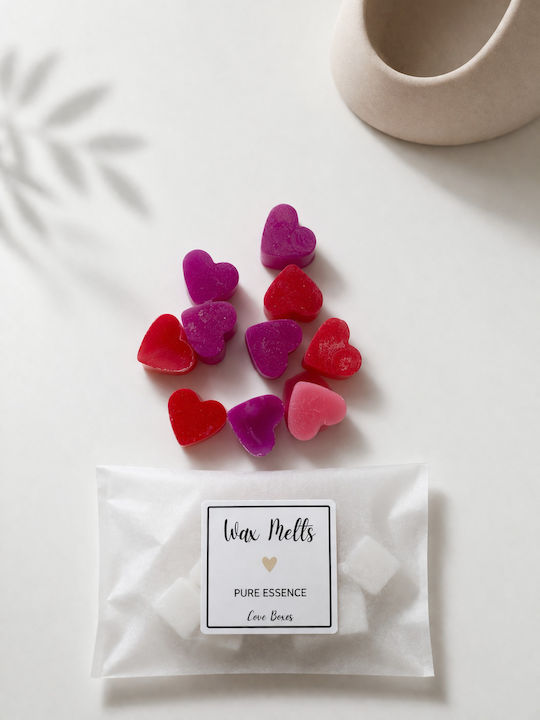 Home Fragrance Luxury Wax Melt With Chocolate Perfume HWM0003-14
