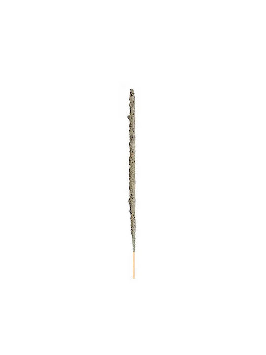 Duftstäbchen mit Duft Eukalyptus
