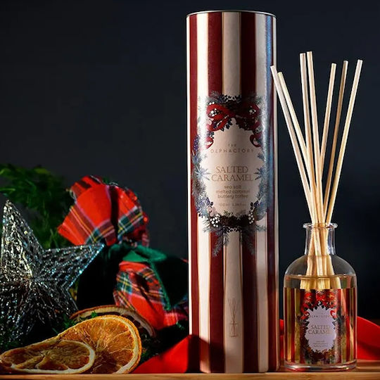 Salted Caramel Αρωματικό Χώρου Στικς 100ml '25 Special Edt Ambientair