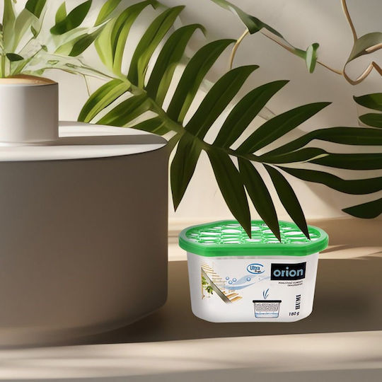 Ultra Fresh Moisture Absorber 180g