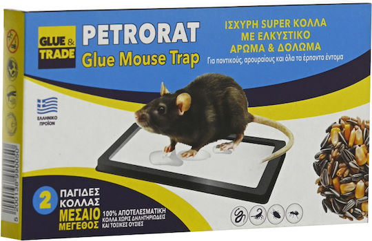 Glue & Trade Petrorat Glue Trap made of Plastic Medium 2pcs