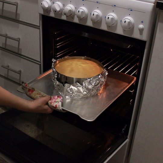 Cake Land 10cm Adjustable Cake Ring 16-30cm Springform Pan