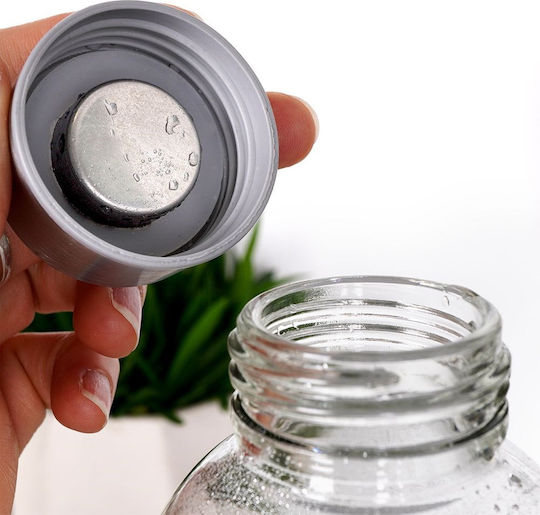 Excellent Houseware Bottiglia Grătare comerciale Sticlă con tappo a vite Gri 750ml