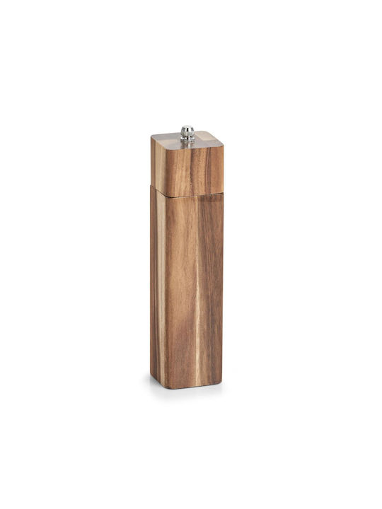 Zeller Manual Salt Mill Wooden in Brown Colour 21.3cm