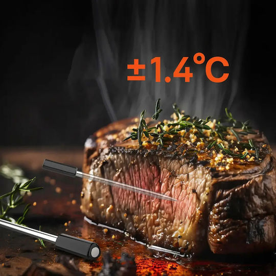 Metapen Digital Thermometer Backofen mit Nadel und Bluetooth
