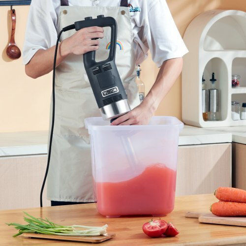 Vevor Blender De Mână Comercial Cu Putere 750W