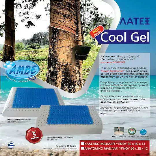 Amve GEL-11642 Cool Gel Latex Μαξιλάρι Ύπνου Gel Ανατομικό 60x40x14cm