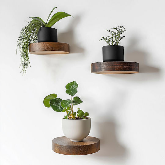 Shelves Wall 3pcs 12x12x1.9cm Natural Shelves Wall 3pcs 12x12x1.9cm Natural