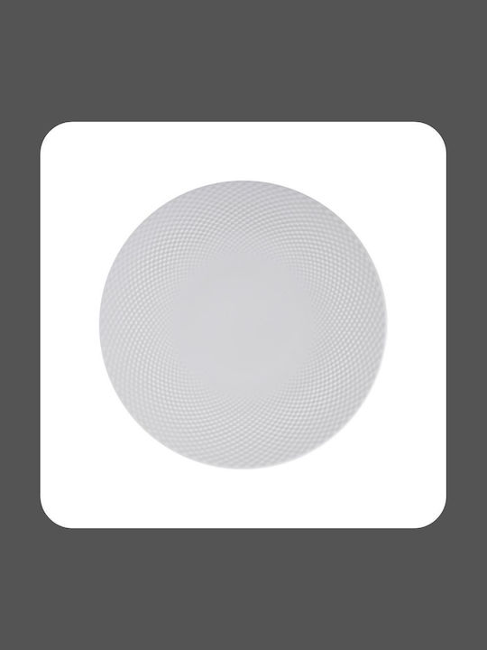 Kutahya Porselen Panio Shallow Serving Plate Made of White Porcelain with Diameter 25cm 6 Pieces