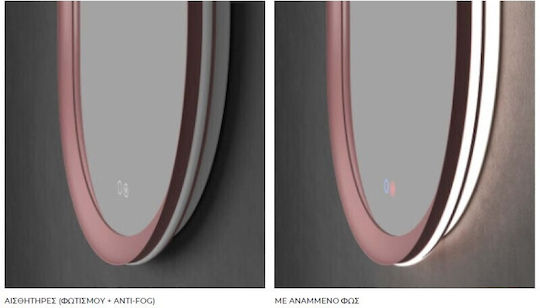 Imex Oval Badezimmerspiegel LED aus Metall 50x90cm Grau