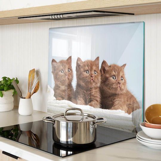 Голяма Кухненска Дъска За Рязане От Закалено Стъкло Кърпа С Котенца 60x52 См