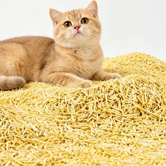 Uniq Uniq Pflanzliche Katzenstreu Tofu Unparfümiert 2,5kg / 6lt