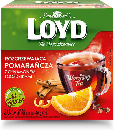 Loyd Warming Orange Flavor Tea Cinnamon Cloves Pyramid Tea Bags 20 Pieces