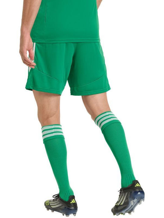 Sports Men's Bermuda Green