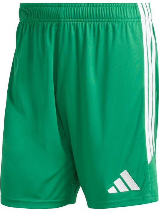 Sports Men's Bermuda Green