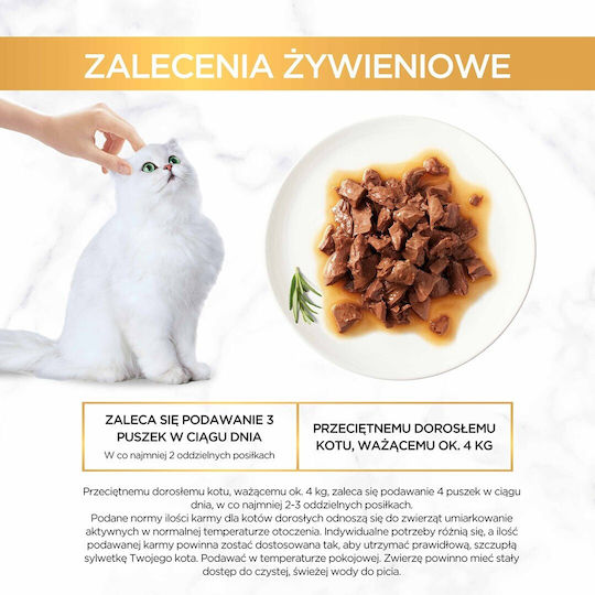 Gourmet Hrana Pentru Pisici Bătrâne Cu Carne De Vită 85gr