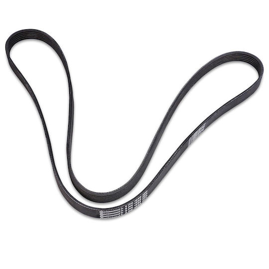 Contitech 6 Pk 1698 Multi-rib Belt