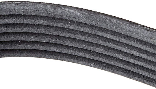 Contitech 6 Pk 1244 Multi-rib Belt