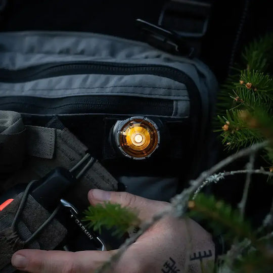 Orbiloc Mode Selector Ring Pro Hund-Identifikationsmarken mit Licht