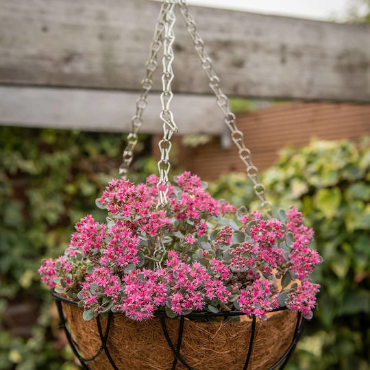 Esschert Design Hanging Metal Plant Pot Beige