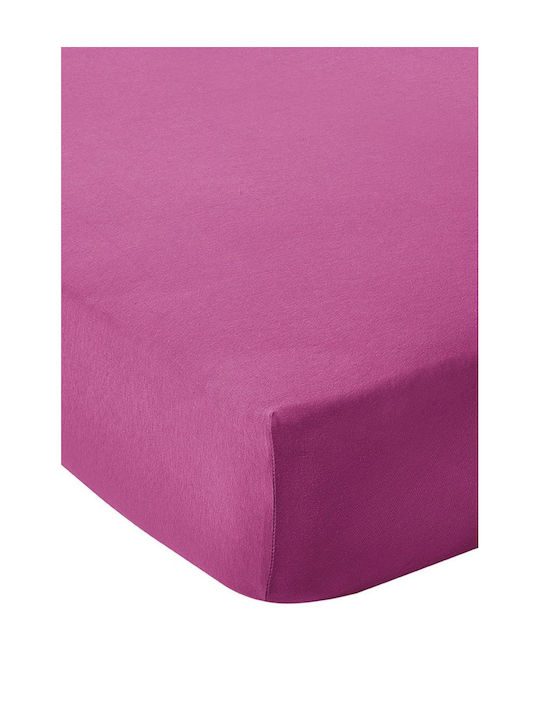 Living Home Super-Double Bed Sheet With Rubber Hugger 160x200+30cm Flieder