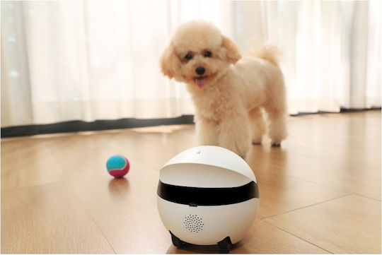 Enabot Rola Mini IP Companion Robot Κάμερα Wi-Fi Full HD+ 4MP Μπαταρίας με Αμφίδρομη Επικοινωνία