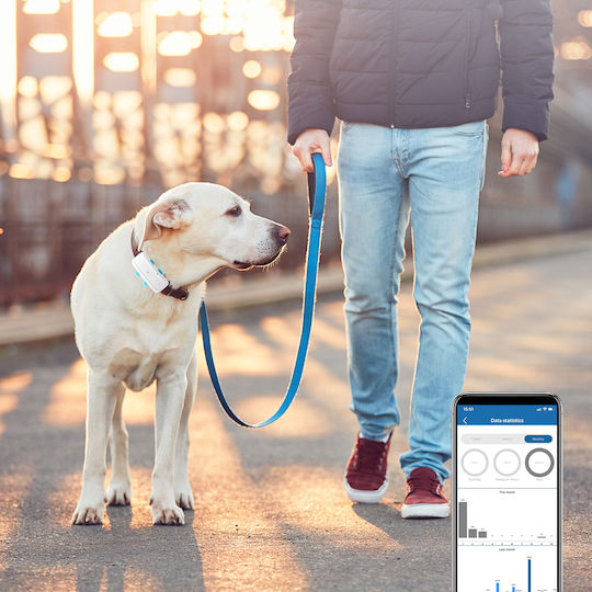 TK Star 4G Tk Star GPS Tracker Elektrisches Hundehalsband