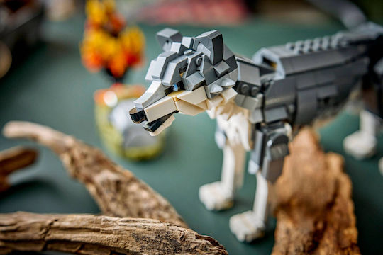 LEGO Creator 3in1 Forest for 8+ Years 657 Pieces