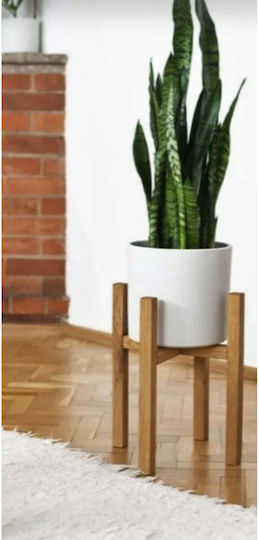 SteweHome Pflanzenständer aus Holz Braune 24cm