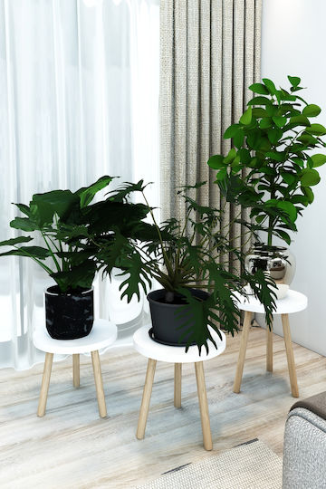 SteweHome White Wooden Plant Stands 23x23x28cm 3 Pieces