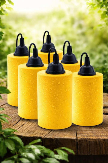 SteweHome Wall-Mounted Outdoor Lantern E27