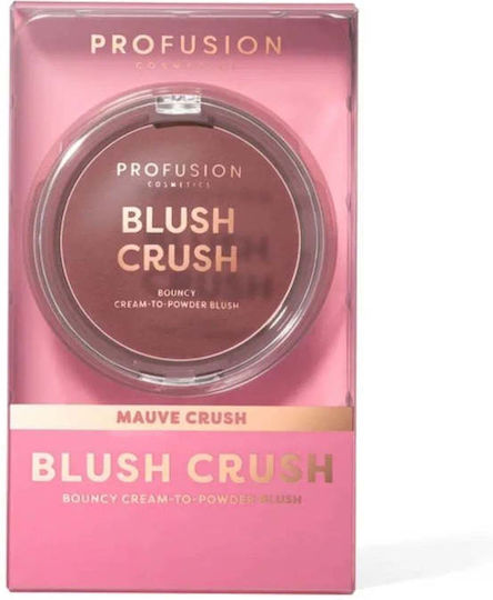 Profusion Cosmetics Fard Obraz Mauve Crush 10gr