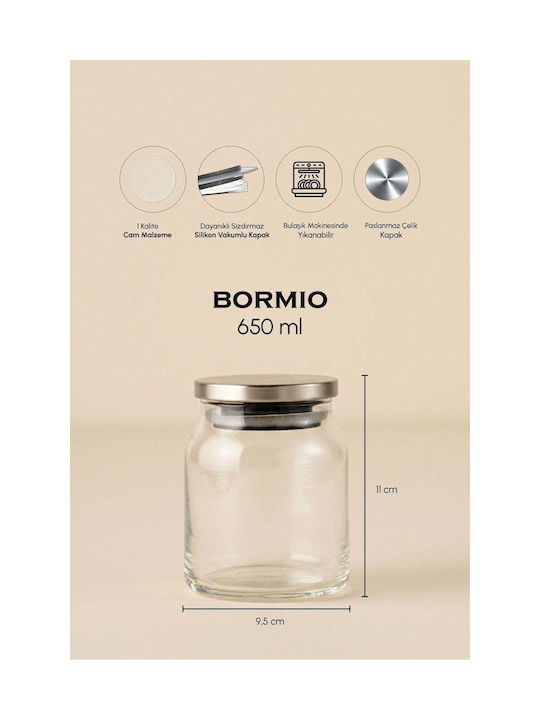 SteweHome Set of 3 Coffee Jars with Metallic Transparent Lid 650ml